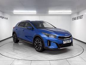 KIA XCEED 2025 (25) at J Edgar & Son Ltd Frizington