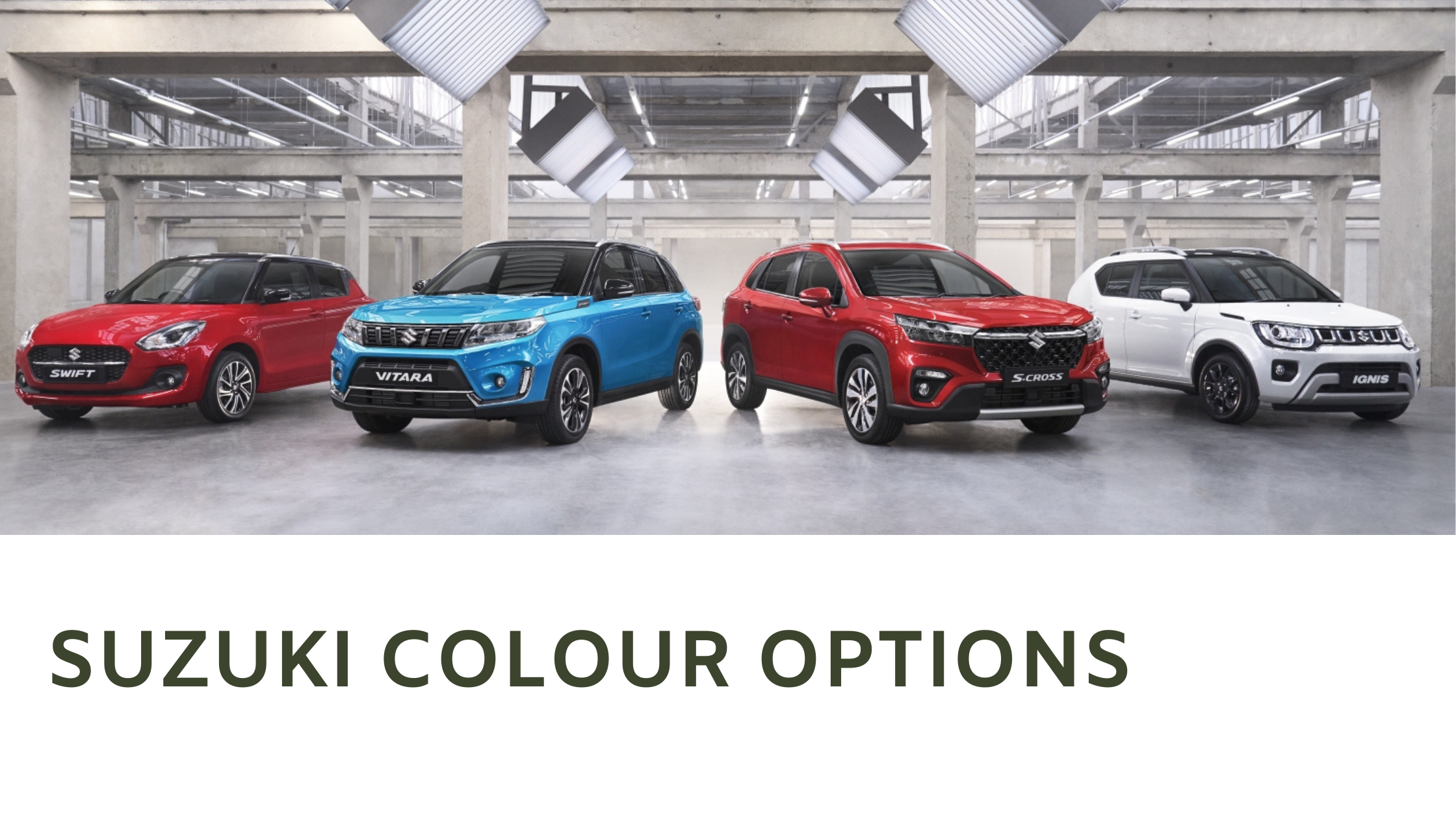 Suzuki Colour Options
