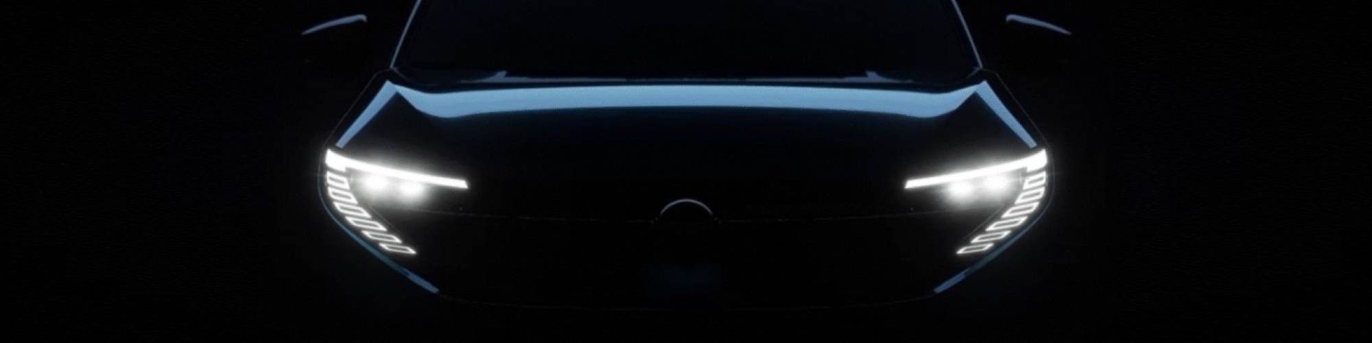 nissan leaf Banner